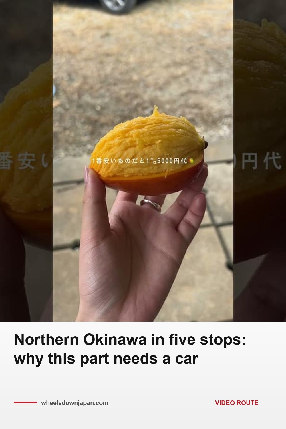 Pinterest pin: Northern Okinawa in five stops: why this part needs a car